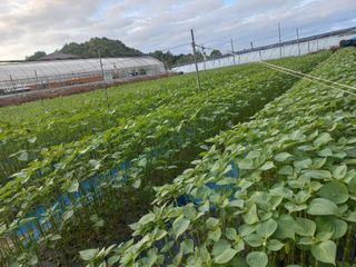 농민님의 자유주제 · 자유게시판 작성글 사진