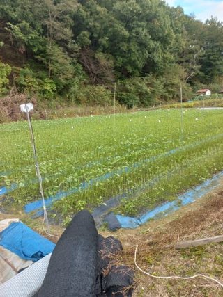 농민님의 자유주제 · 자유게시판 작성글 사진