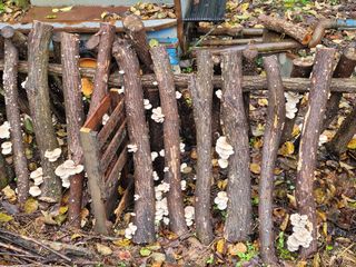 이기석님의 자유주제 · 자유게시판 작성글 사진