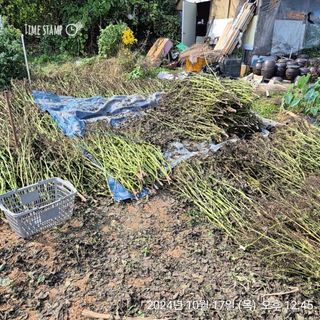 남종희님의 자유주제 · 자유게시판 작성글 사진