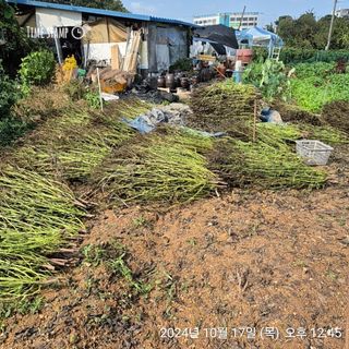 남종희님의 자유주제 · 자유게시판 작성글 사진