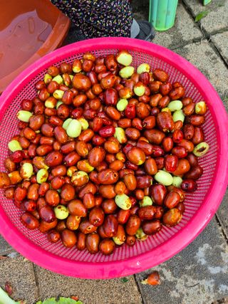 남종희님의 자유주제 · 자유게시판 작성글 사진