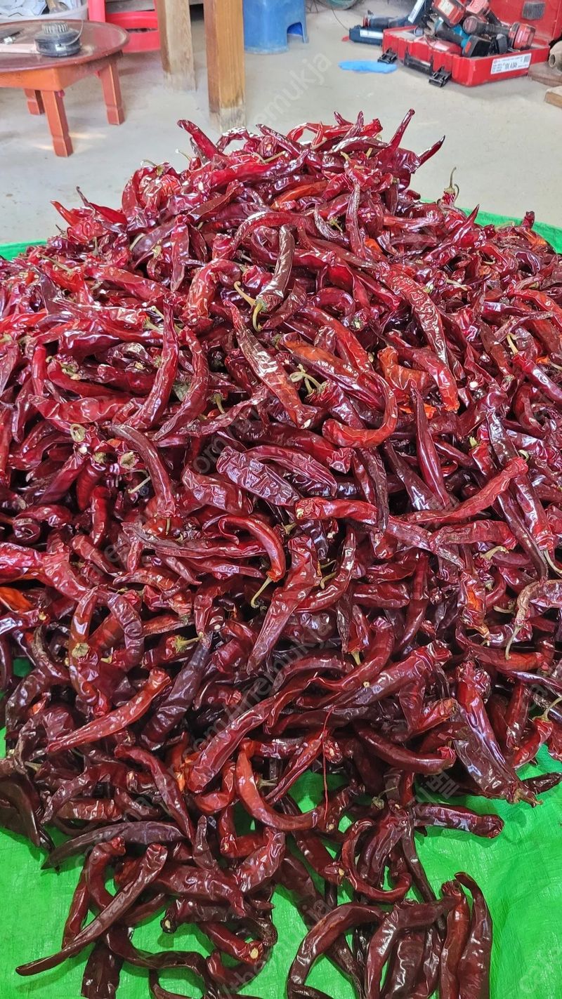 다불산님의 장터 판매 상품 [고춧가루 60근] 첨부 사진