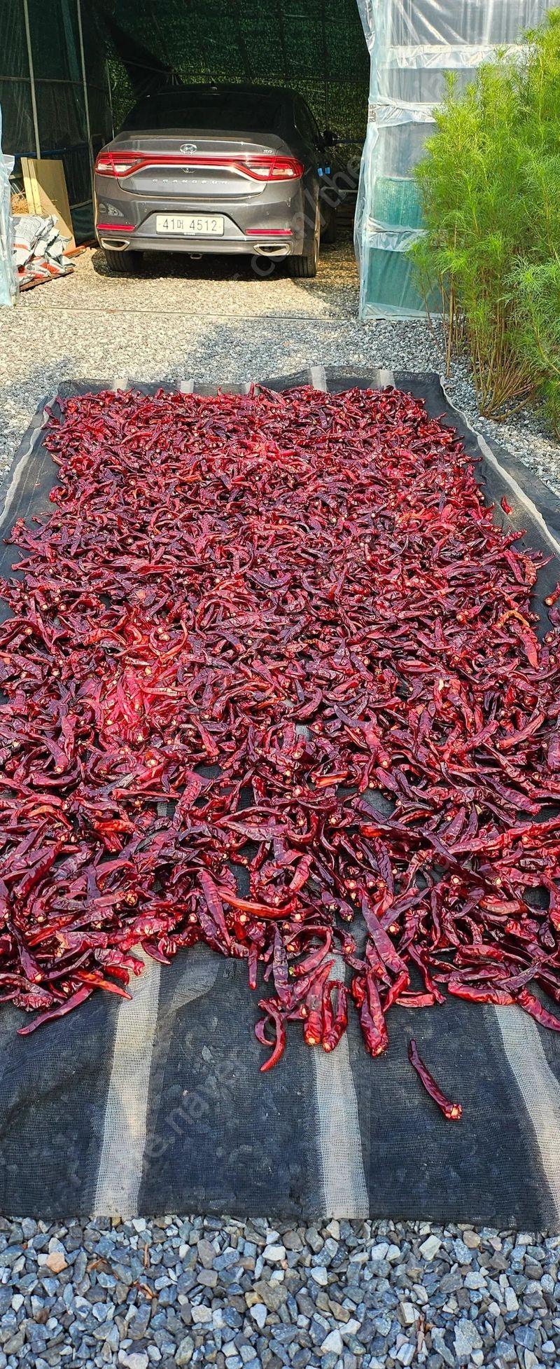 다불산님의 장터 판매 상품 [고춧가루 60근] 첨부 사진