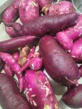 팜모닝 가을 농사 후 토양 어떻게 관리하세요?·참여글 게시글 이미지