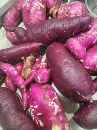 달구님의 가을 농사 후 토양 어떻게 관리하세요? · 참여글 작성글 사진