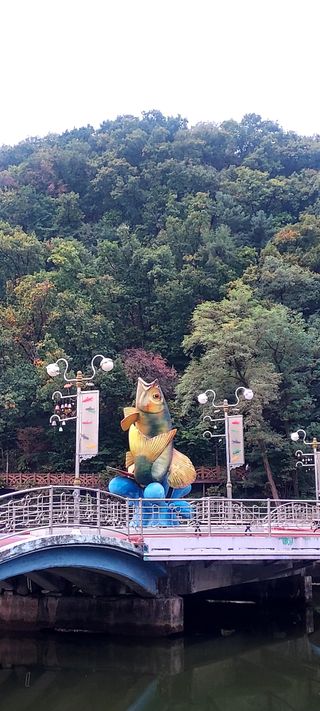 안재성님의 자유주제 · 사진전 작성글 사진