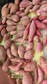 팜모닝 농사, 무엇이든 물어보세요!·참여글 게시글 이미지