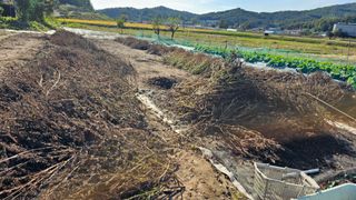 정금기님의 자유주제 · 자유게시판 작성글 사진