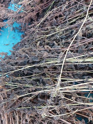 오화순님의 자유주제 · 자유게시판 작성글 사진