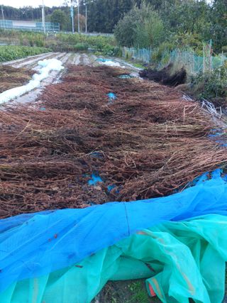 오화순님의 자유주제 · 자유게시판 작성글 사진