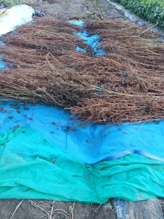 오화순님의 자유주제 · 자유게시판 작성글 사진