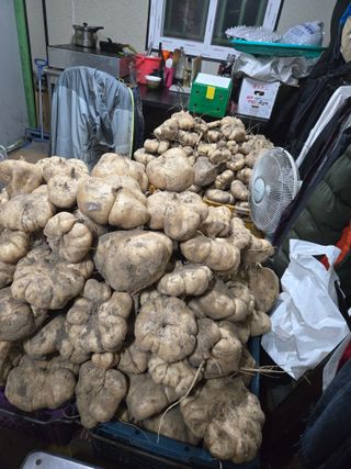 김성부 님의 자유주제 · 자유게시판 작성글 사진