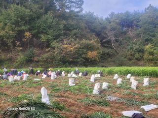 손영호님의 자유주제 · 자유게시판 작성글 사진