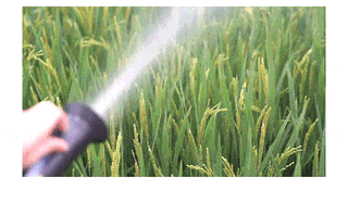 유니즈님의 작성글 사진