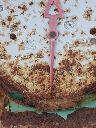 서산팔봉농원님의 작성글 사진