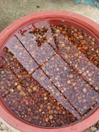 서산팔봉농원님의 작성글 사진