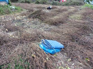 알 수 없음님의 자유주제 · 자유게시판 작성글 사진