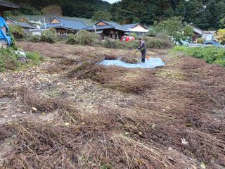 알 수 없음님의 자유주제 · 자유게시판 작성글 사진