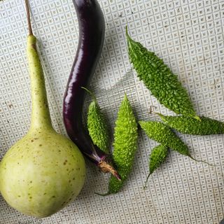 오케바리(옥경종)님의 양파 · 영농일지 작성글 사진