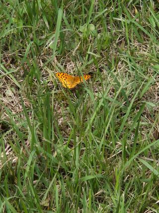 명장박세태님의 자유주제 · 사진전 작성글 사진
