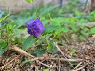 명장박세태님의 자유주제 · 사진전 작성글 사진