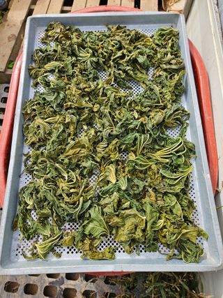 조정숙(1955)님의 자유주제 · 자유게시판 작성글 사진