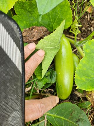 조정숙(1955)님의 자유주제 · 자유게시판 작성글 사진