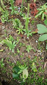 팜모닝 · 게시글 이미지