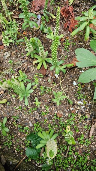 장철식님의 작성글 사진