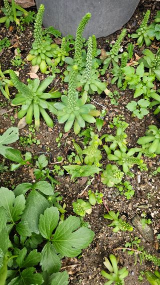 장철식님의 작성글 사진