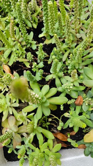 장철식님의 작성글 사진