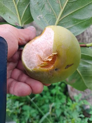 농촌사랑님의 자유주제 · 자유게시판 작성글 사진