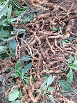 팜모닝 자유주제·자유게시판 게시글 이미지