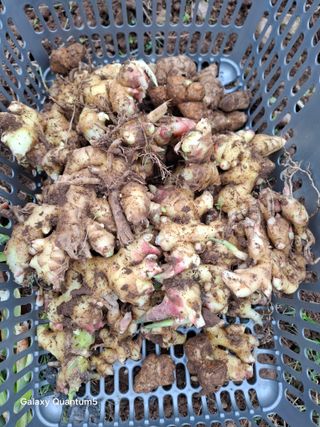 진재경님의 자유주제 · 자유게시판 작성글 사진