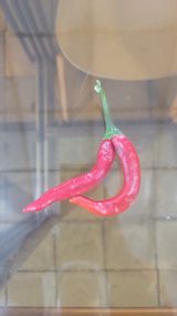 팜모닝 자유주제·사진전 게시글 이미지