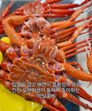 노가네수산님의 자유주제 · 자유게시판 작성글 사진