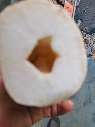 류남열님의 자유주제 · 자유게시판 작성글 사진