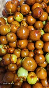 팜모닝 자유주제·사진전 게시글 이미지