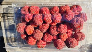 조상연님의 자유주제 · 사진전 작성글 사진