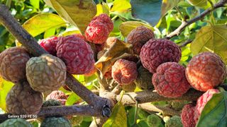 조상연님의 자유주제 · 사진전 작성글 사진