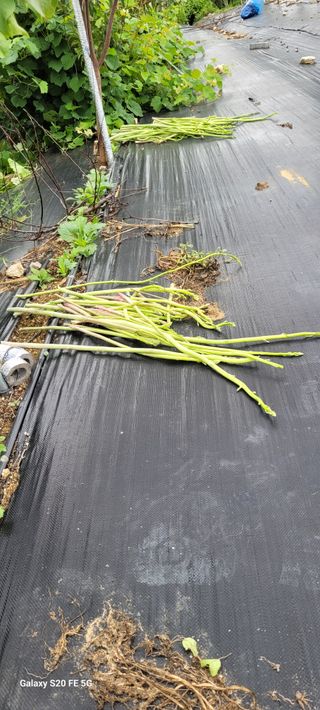 조상연님의 자유주제 · 사진전 작성글 사진