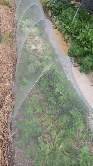 황의성님의 자유주제 · 자유게시판 작성글 사진