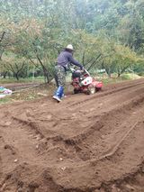 팜모닝 가을 농사 후 토양 어떻게 관리하세요?·참여글 게시글 이미지