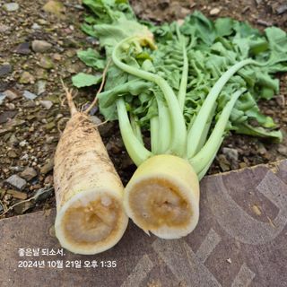김진님의 자유주제 · 자유게시판 작성글 사진
