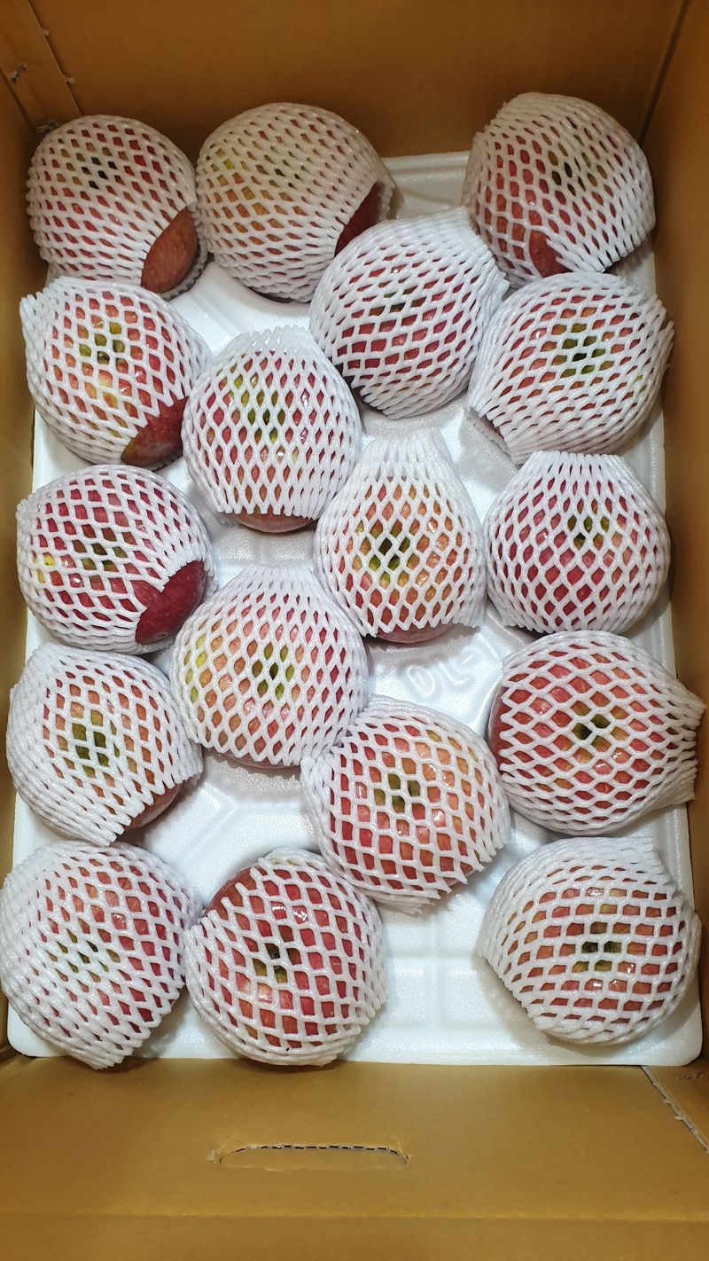 백두농원님의 장터 판매 상품 [봉화사과 10키로 ] 첨부 사진