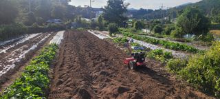 차동근님의 자유주제 · 자유게시판 작성글 사진