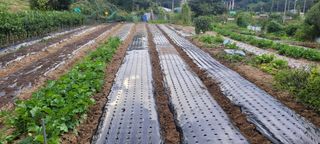 차동근님의 자유주제 · 자유게시판 작성글 사진