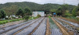 차동근님의 자유주제 · 자유게시판 작성글 사진
