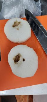 팜모닝 기타작물·병해충상담 게시글 이미지